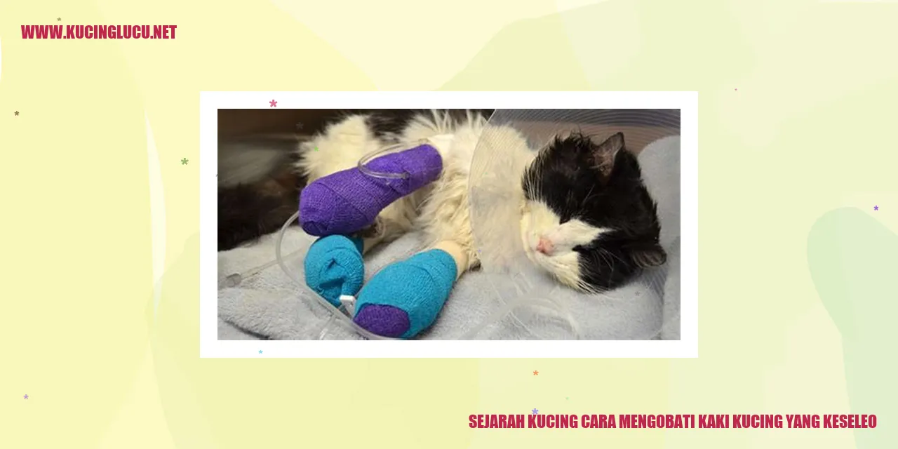 Kucing merawat kaki yang terkilir