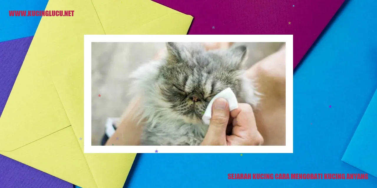 Kucing Anyang