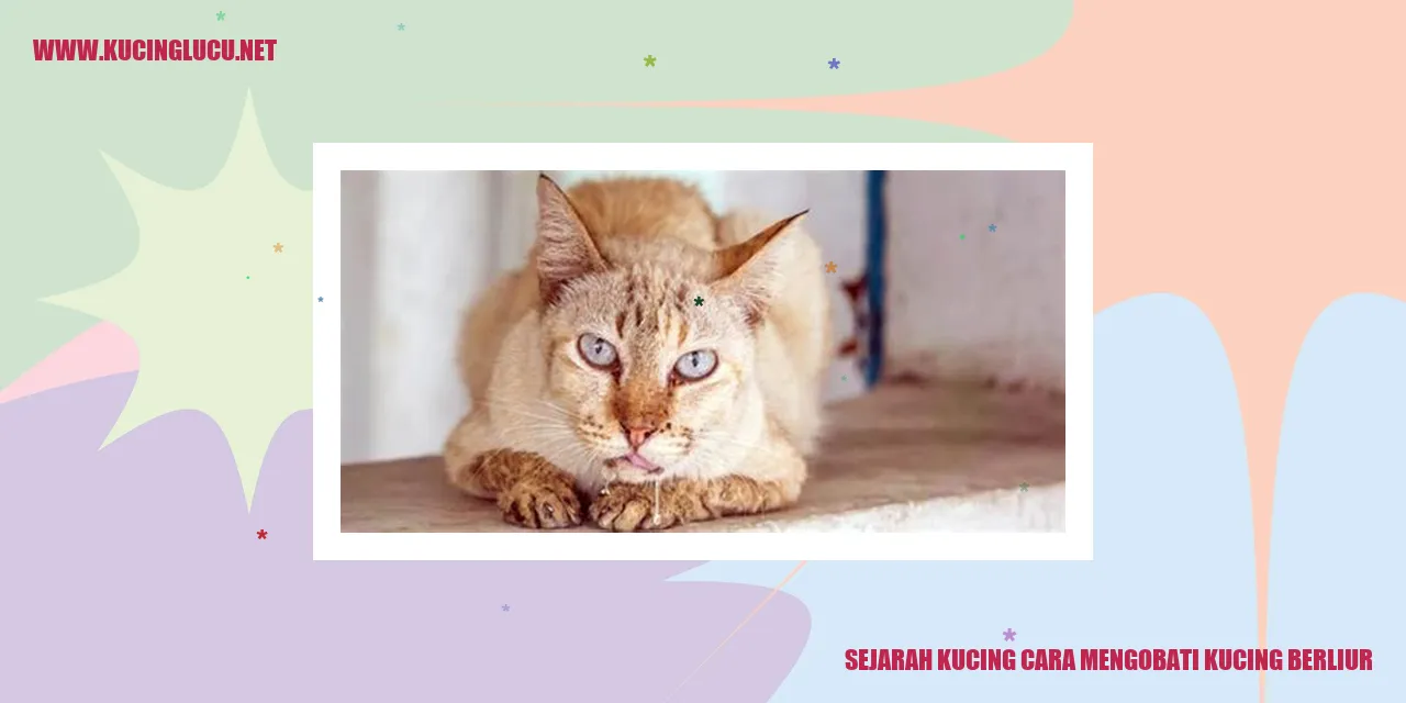 Gambar Sejarah Kucing dan Kucing Berliur