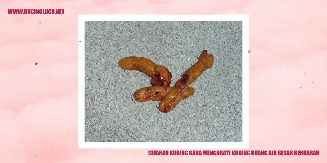 Gambar kucing
