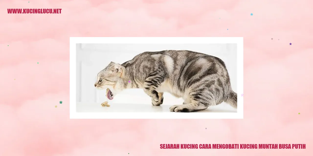 Gambar Sejarah Kucing dan Cara Mengobati Kucing Muntah Busa Putih