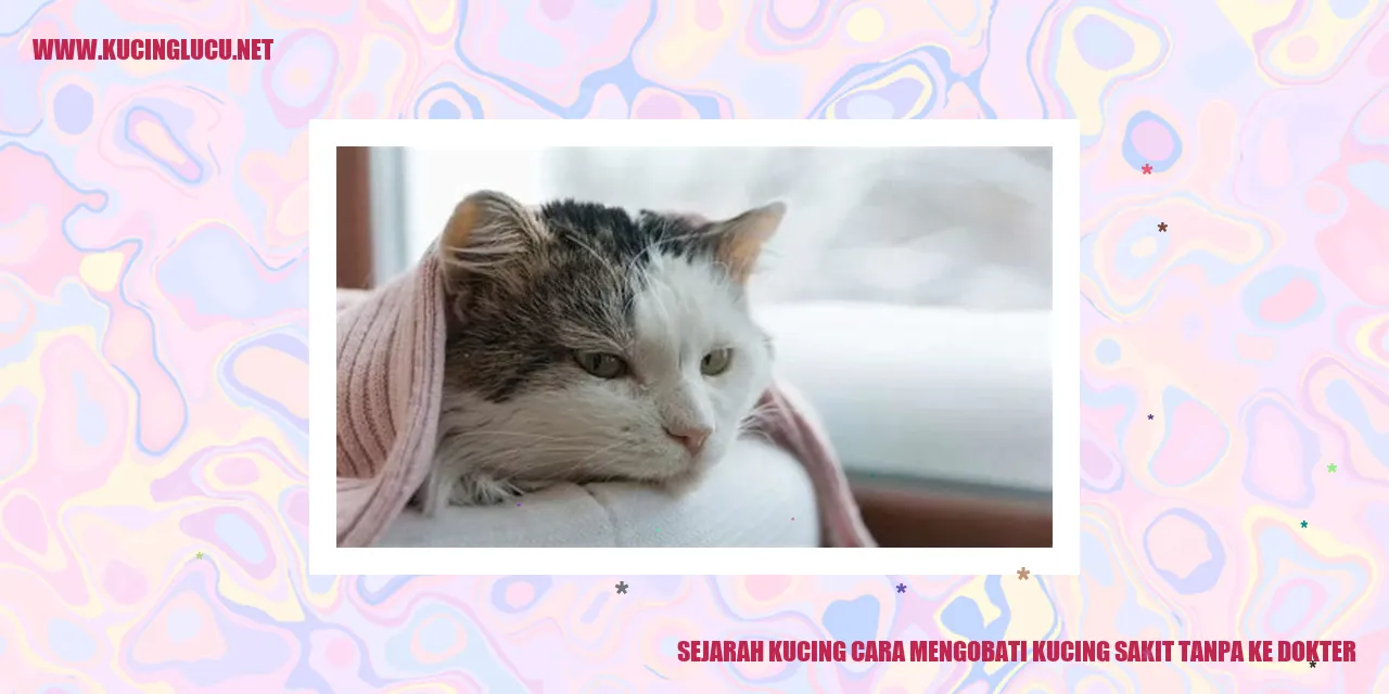 Gambar Kucing