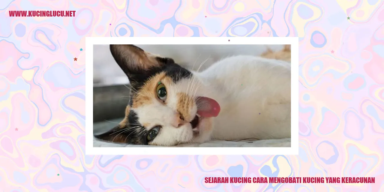 Sejarah Kucing