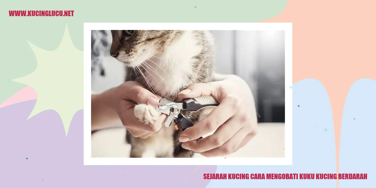Sejarah Kucing dan Cara Menyembuhkan Luka pada Kuku Kucing yang Berdarah