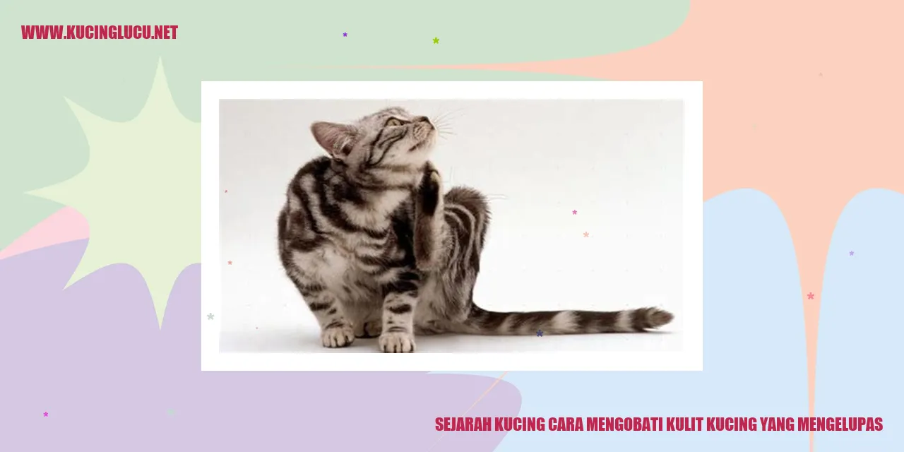 sejarah kucing