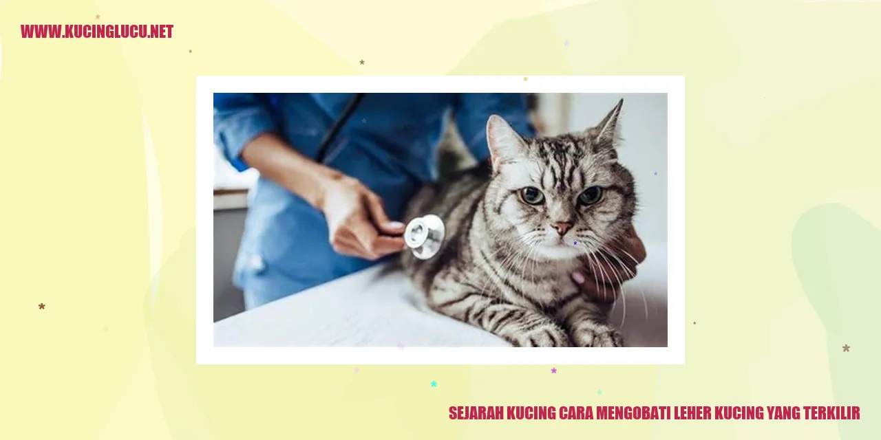 Gambar Kucing Terkilir
