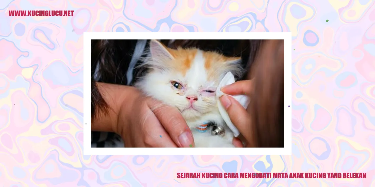 Kucing yang Menggemaskan