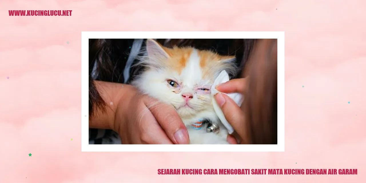 Ilustrasi tentang sejarah kucing dan pengobatan mata kucing dengan air garam