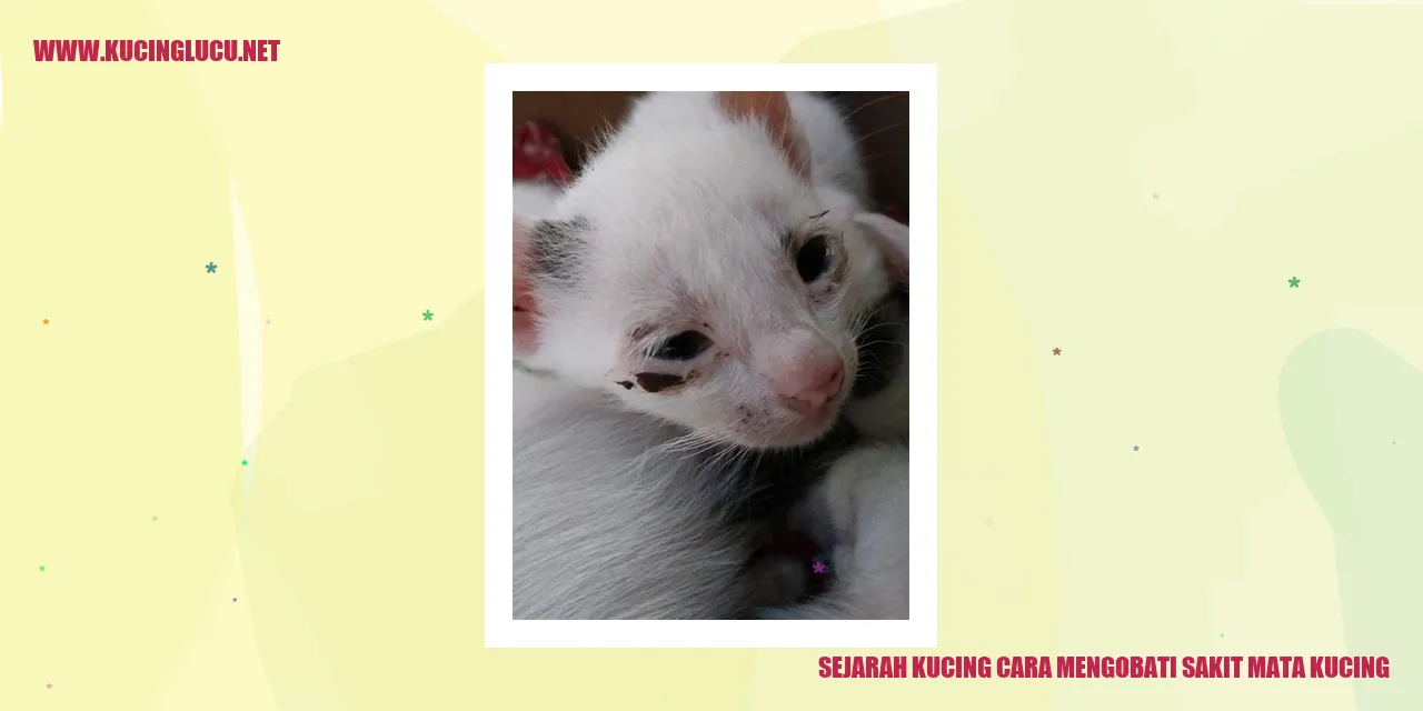Sejarah Kucing cara mengobati sakit mata kucing