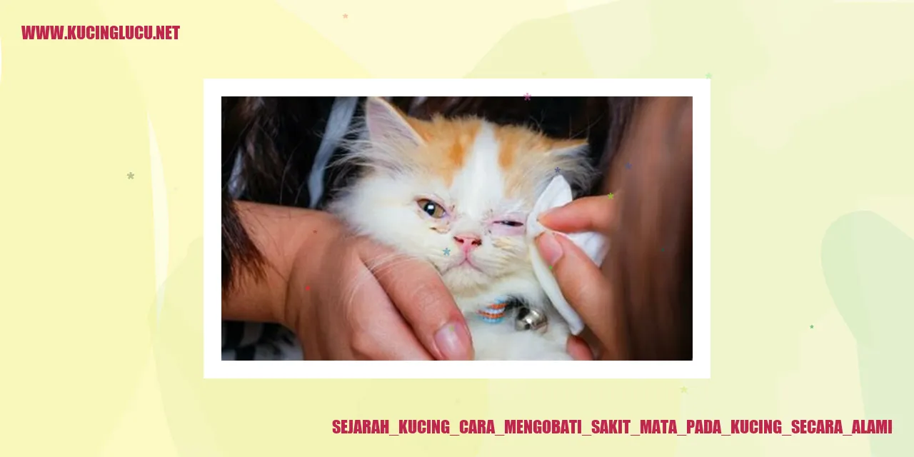 Sejarah Kucing cara mengobati sakit mata pada kucing secara alami