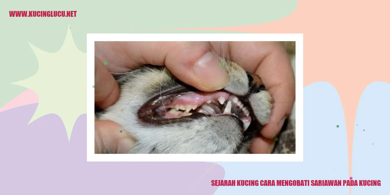 Gambar Kucing