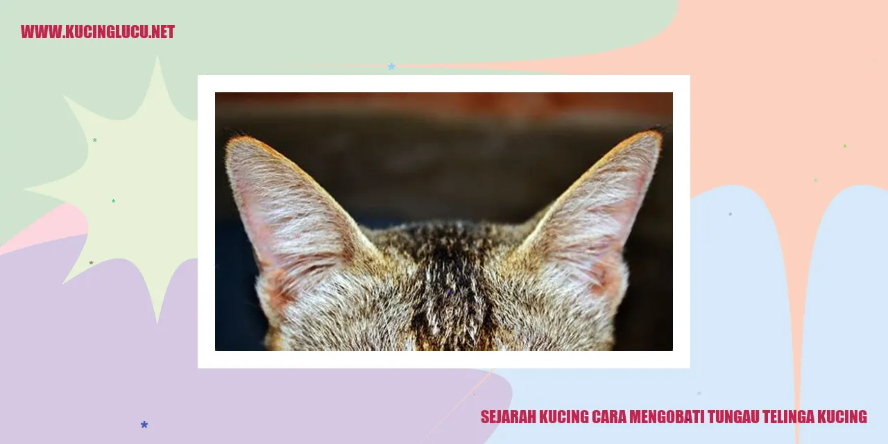 Sejarah Kucing dan Cara Mengobati Tungau Telinga Kucing