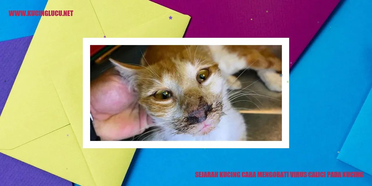 Gambar Kucing