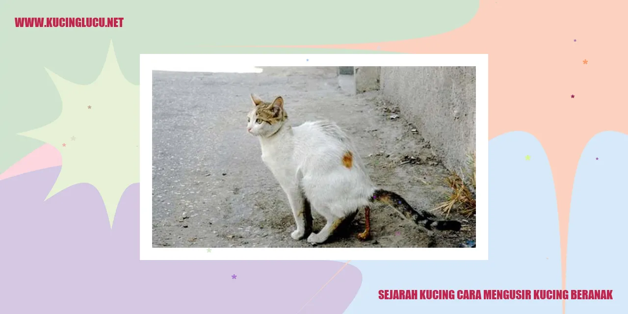 Gambar Kucing
