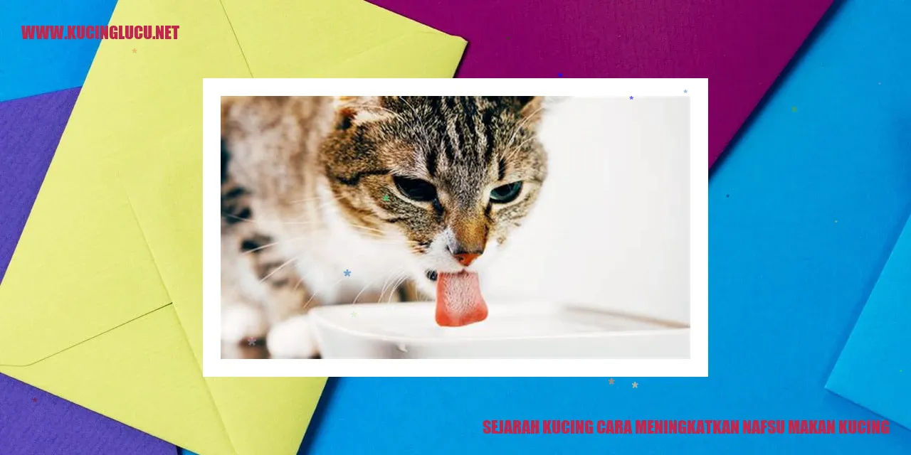 Gambar Kucing
