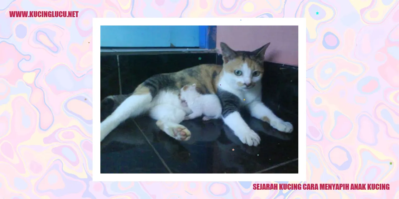 Ilustrasi Kucing