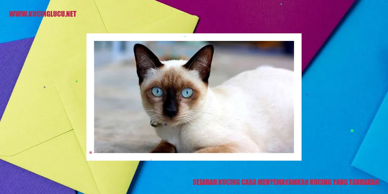 Sejarah Kucing cara menyemayamkan kucing yang tabrakan