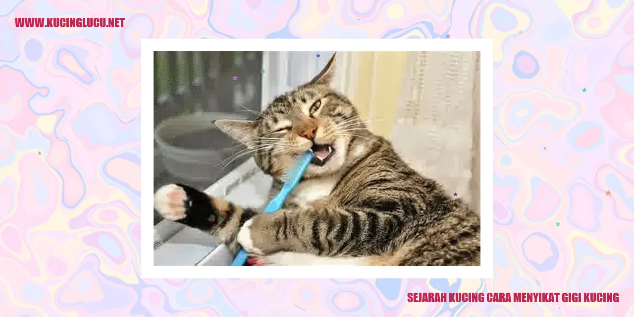 Gambar kucing menyikat gigi
