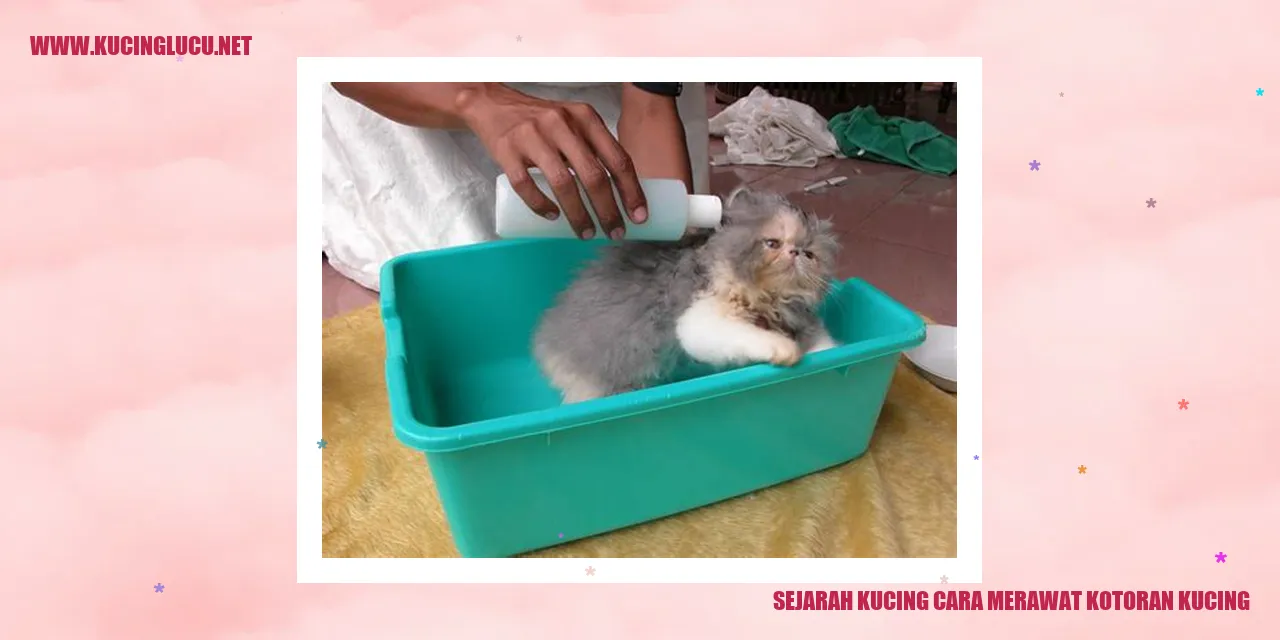 Kucing
