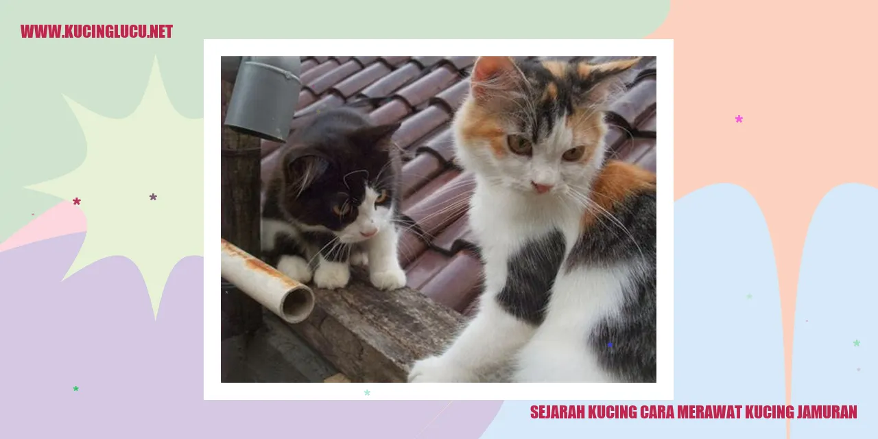 Sejarah Kucing dan Cara Merawat Kucing yang Terkena Jamur