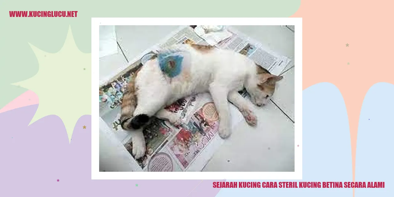 Sejarah Kucing cara steril kucing betina secara alami