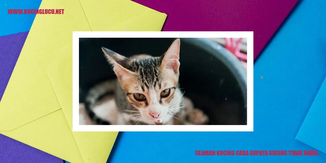 Gambar Kucing