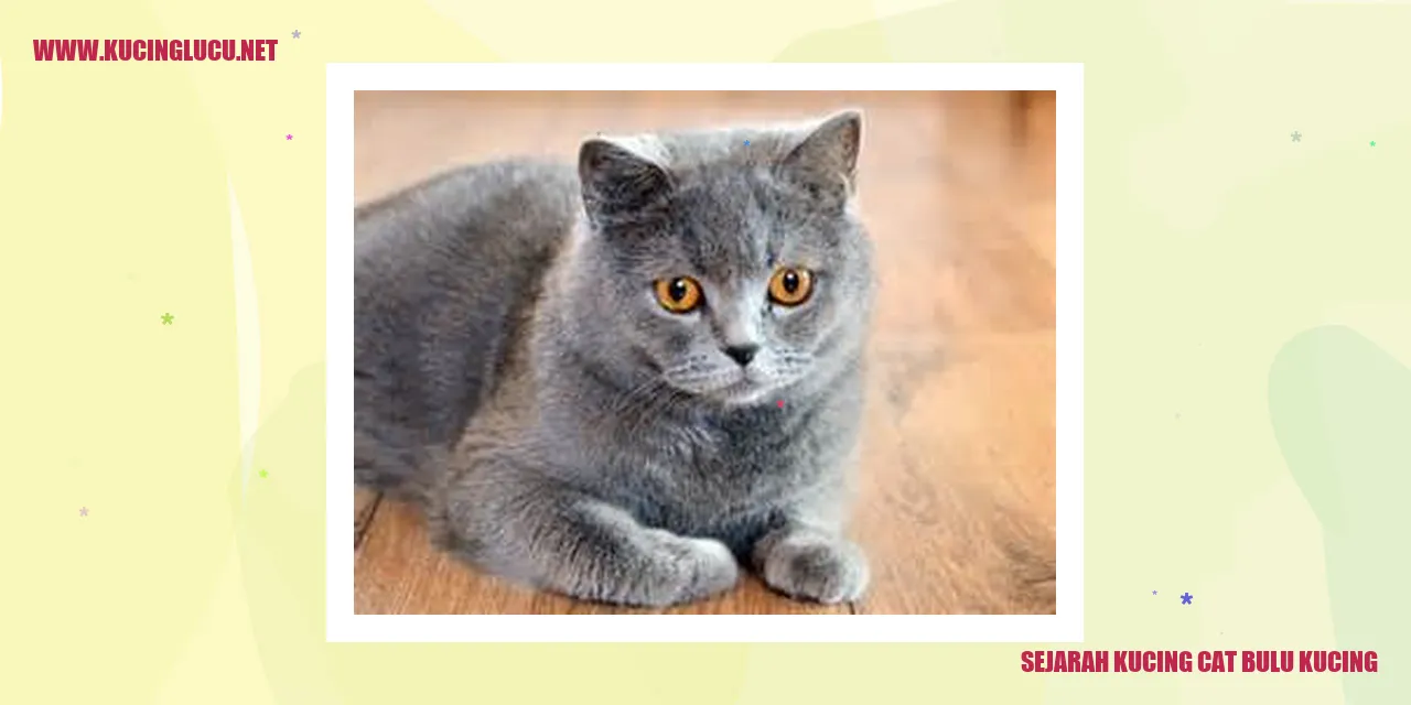 Gambar kucing