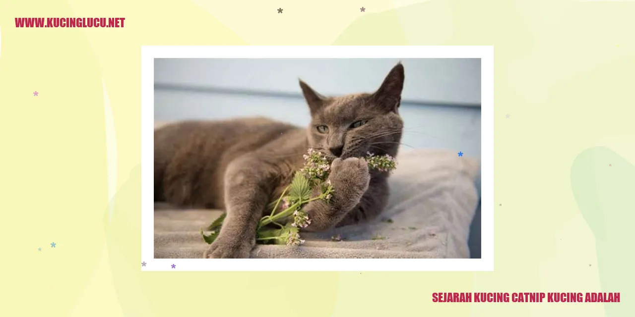Gambar Kucing Catnip