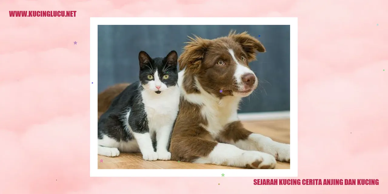 Sejarah Kucing cerita anjing dan kucing