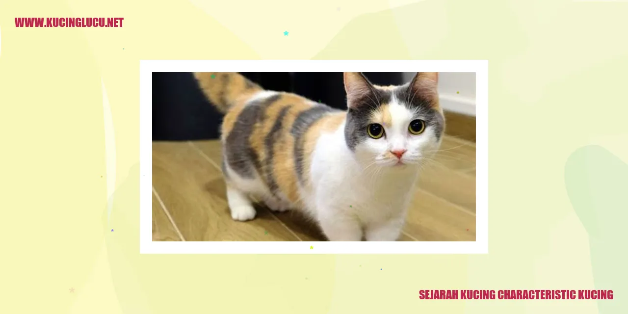 Sejarah Kucing characteristic kucing