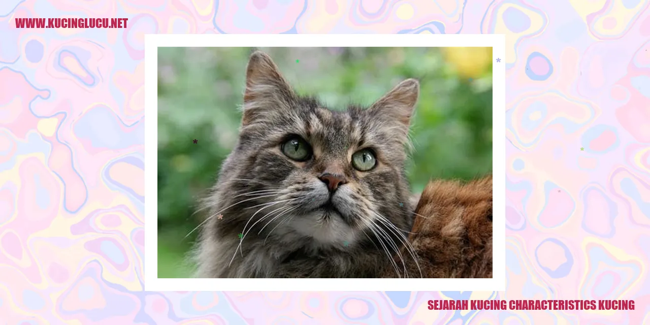 Sejarah Kucing