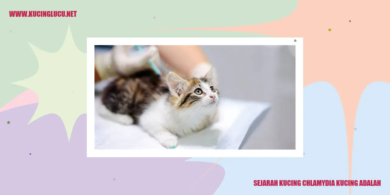 Gambar Kucing