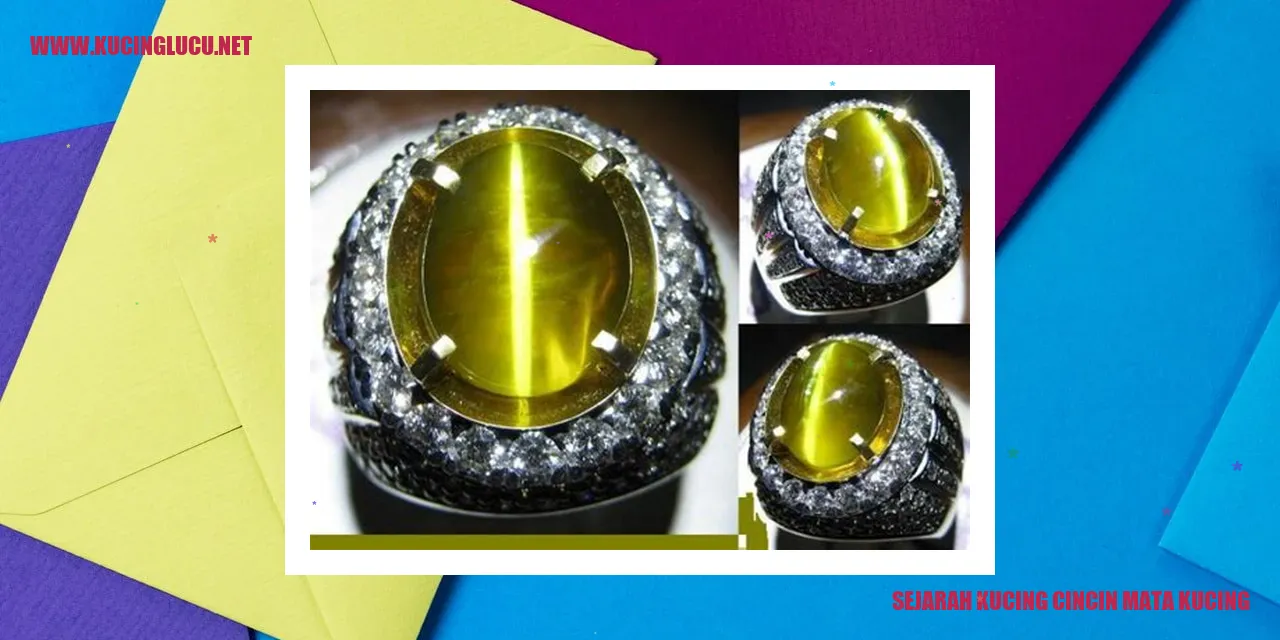 Gambar Kucing Cincin Mata Kucing