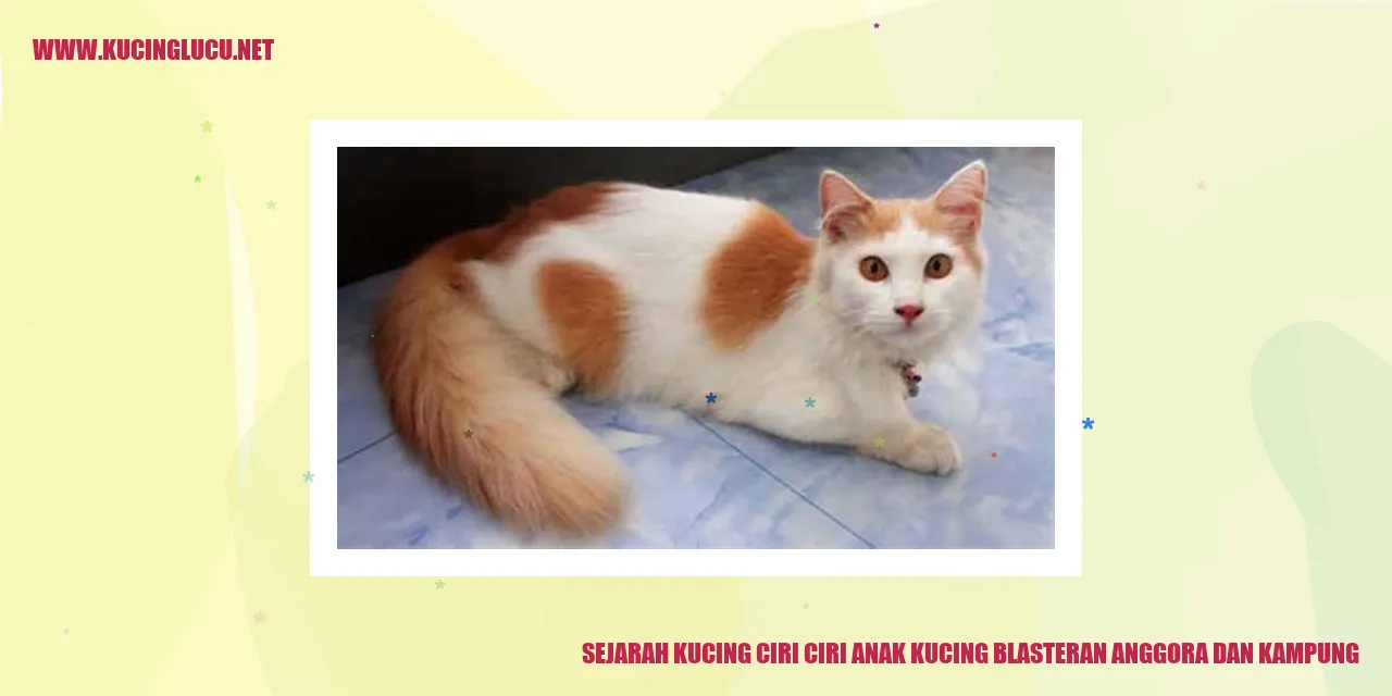 Gambar Kucing