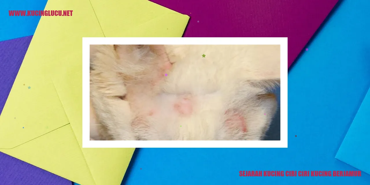 gambar kucing yang menggemaskan