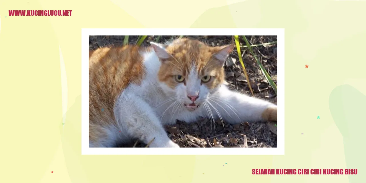 Sejarah Kucing