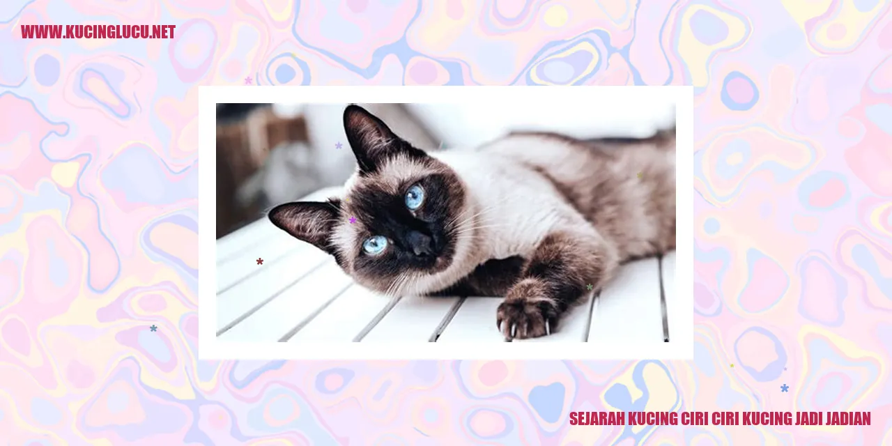 Gambar Sejarah Kucing dan Ciri-ciri Kucing Jadi-Jadian