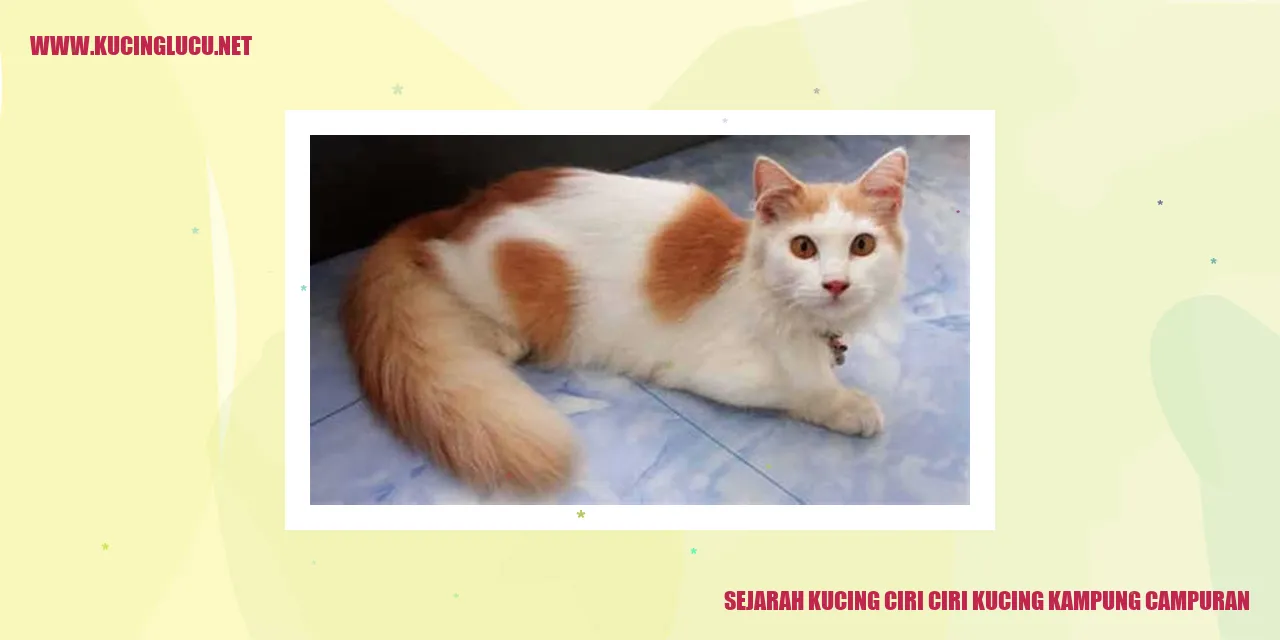Kucing Kampung Campuran