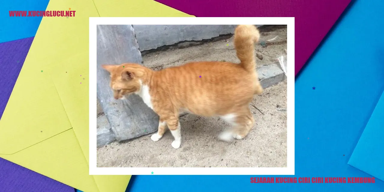 Ilustrasi Kucing Bernama Mentari