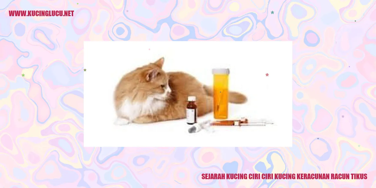 Gambar Kucing yang Menarik