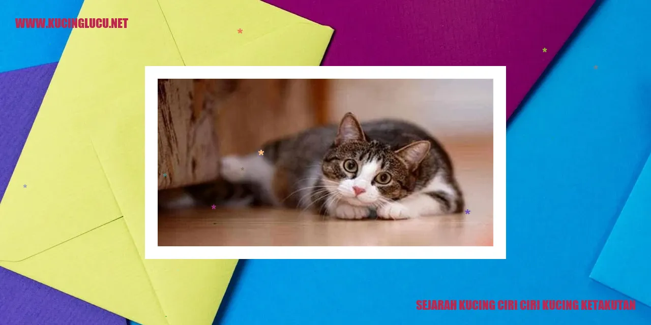 Sejarah Kucing ciri ciri kucing ketakutan