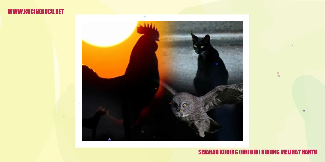 Ilustrasi Kucing Menyaksikan Makhluk Gaib