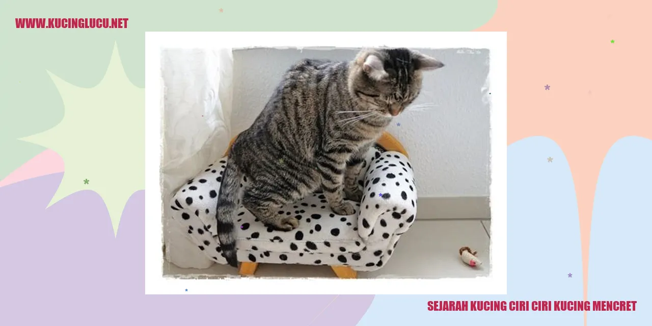 Gambar kucing