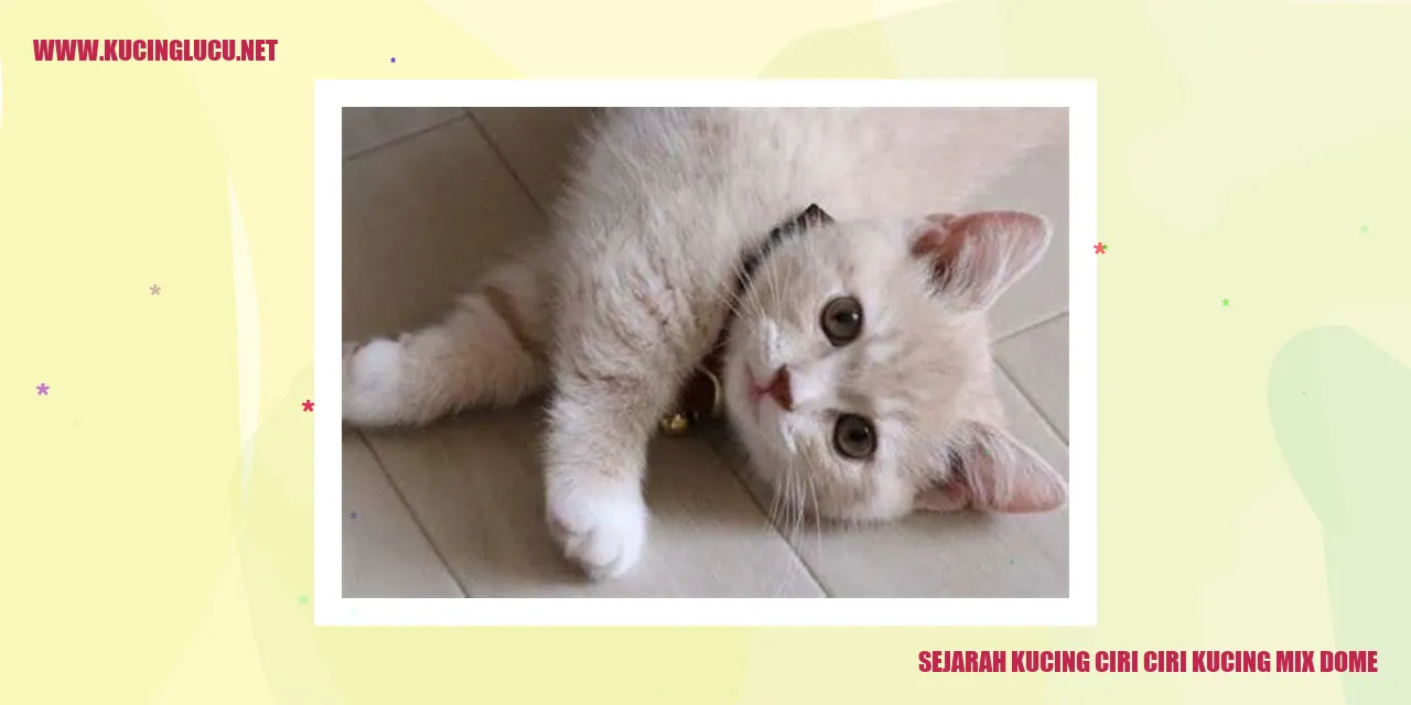 Gambar Kucing