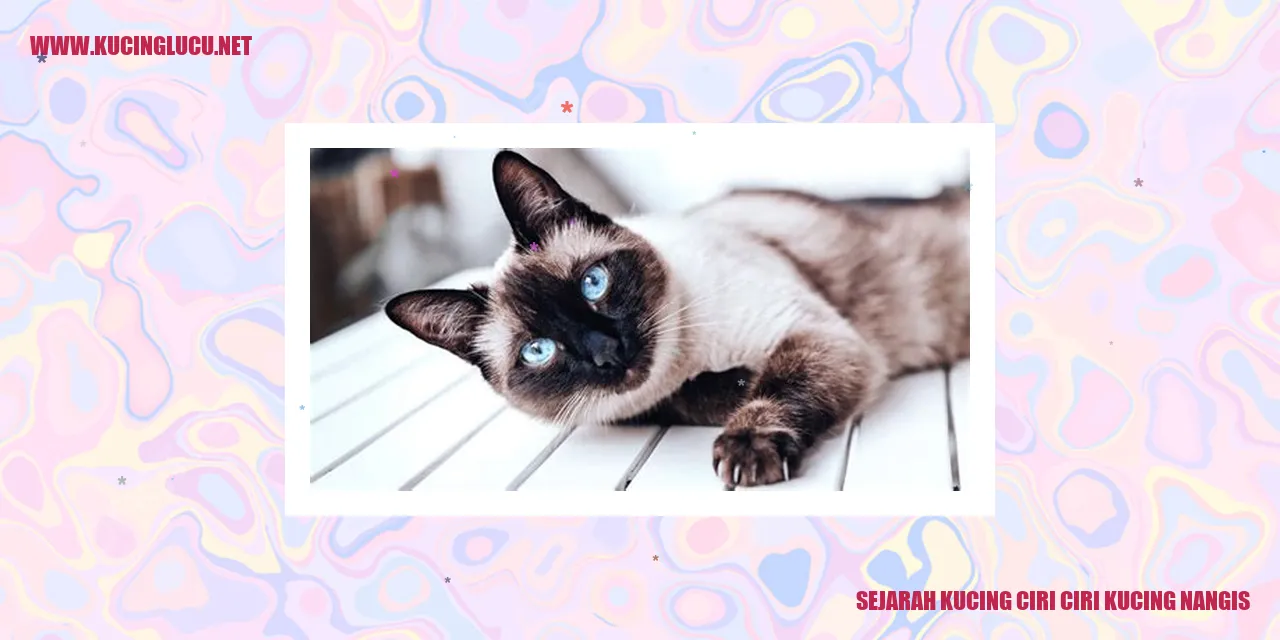 Gambar Kucing yang Menarik