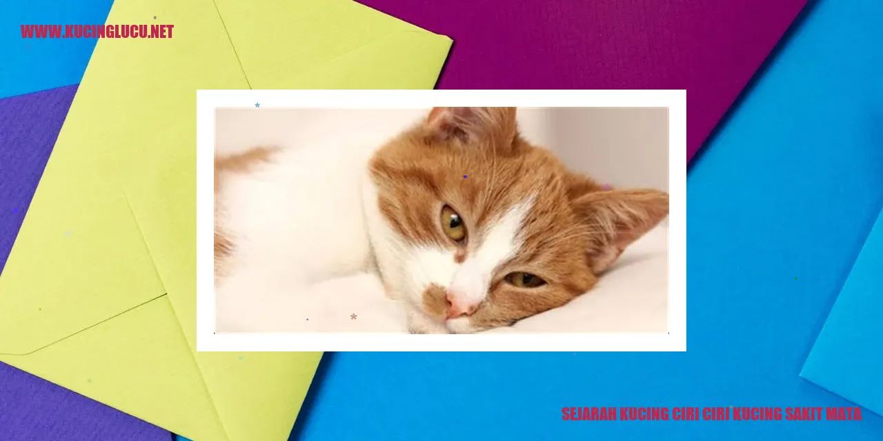 Gambar Kucing