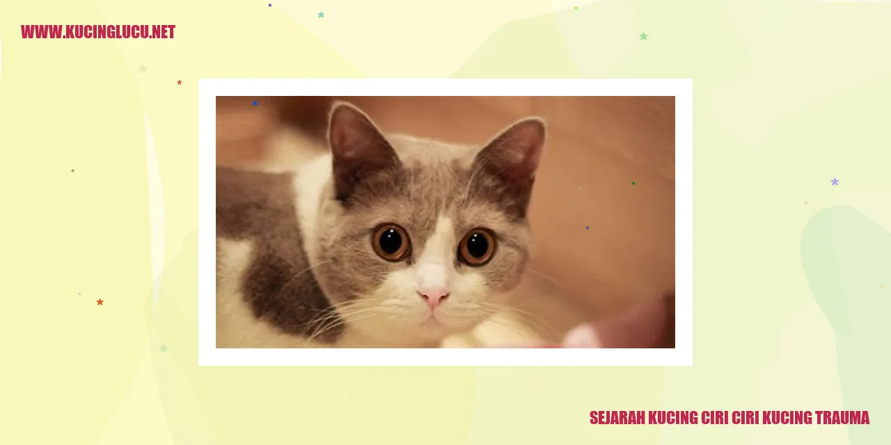 Sejarah Kucing ciri ciri kucing trauma