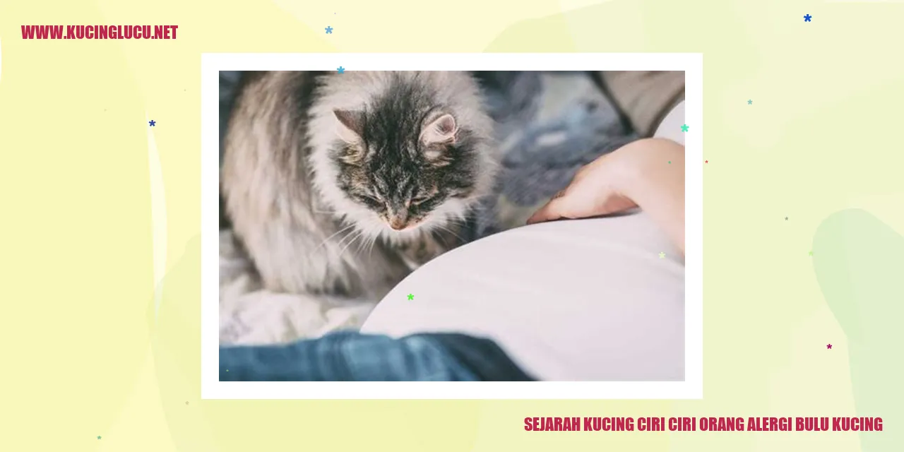 Sejarah Kucing dan Ciri-ciri Orang Alergi Bulu Kucing