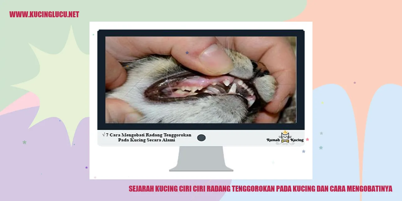Gambar Kucing