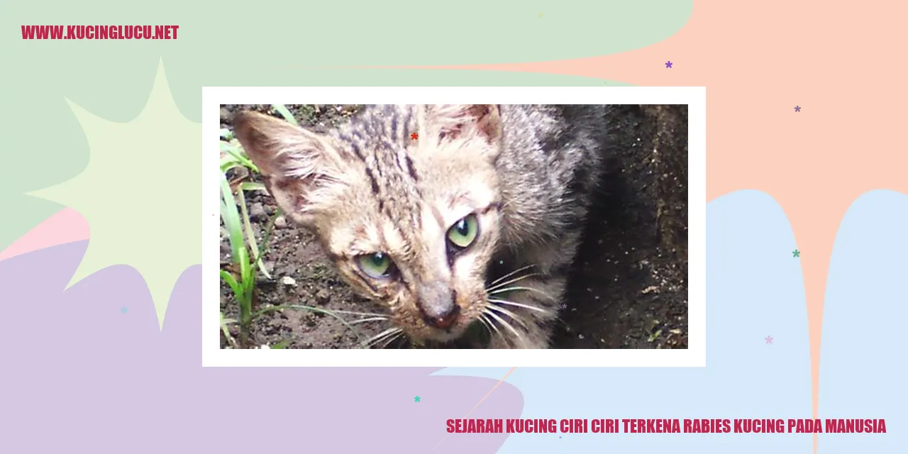 Sejarah Kucing dan Tanda-tanda Terkena Rabies pada Manusia